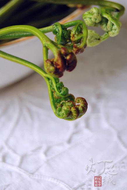 蕨菜干花肉炖粉条的做法(荤素搭配)