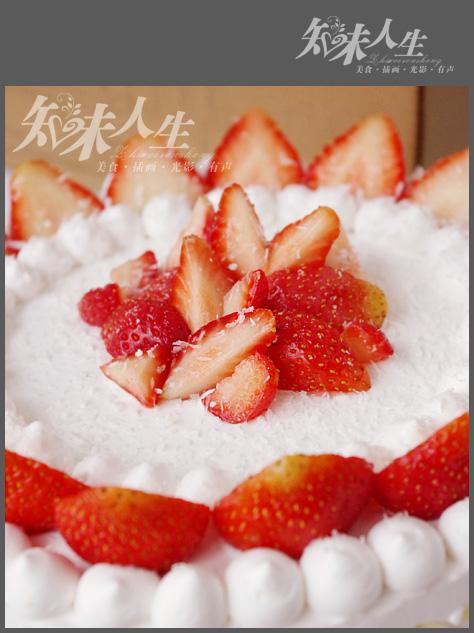 ��ݮ���͵������������Ʒ��