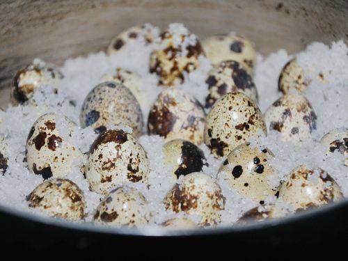 �Οh���ȵ�����������˲��ף�