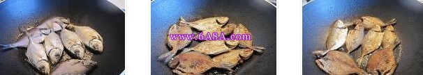 �ɼ庣�������