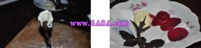 �ɿ���õ�������