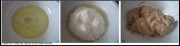 �ɿ�����ݮ���������