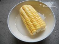 ����С���ŵ�����