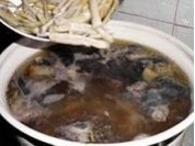 ���ڹǼ������Ź���������