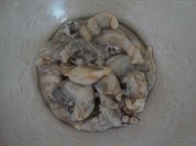 ���������ӵ�����