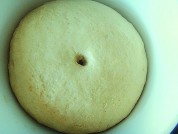 ���Һ�֥��������������