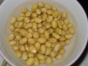 �ƶ��Ź�������������
