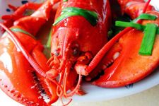 ��ʿ�ٴ���Ϻ������ haoshilao.com
