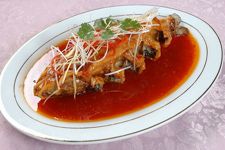 ��Ƥ���������ȫ haoshilao.com