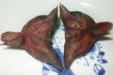 �����ô�� haoshilao.com