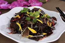 �ļ����׼ҳ������� haoshilao.com