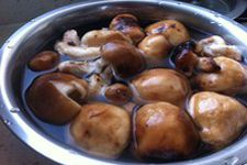 �㹽������������ haoshilao.com