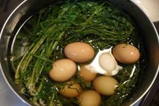 ��Ҷ�󼦵������� haoshilao.com