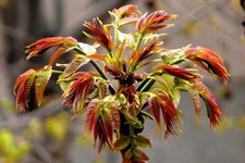 �㴻���� haoshilao.com