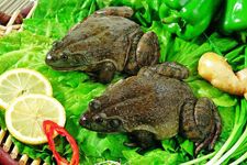 �Ｆ���������ȫ haoshilao.com