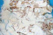 ·Ê³¦ÃæµÄ×ö·¨´óÈ« haoshilao.com