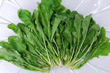���˽��ӵ����� haoshilao.com