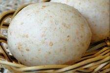 ��ͷ��ô�� haoshilao.com
