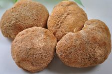 �ﹽ���ɵ����� haoshilao.com