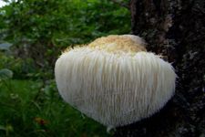 ���ʺ�ͷ�������� haoshilao.com