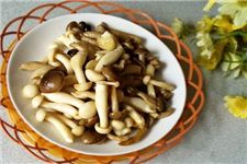 ��Ģ�������� haoshilao.com
