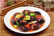 ��Ģ�������� haoshilao.com