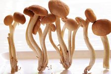 ������������ haoshilao.com