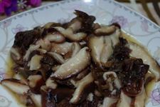 �㹽ľ�������� haoshilao.com