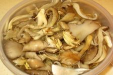 ���Ⱦ������� haoshilao.com
