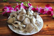 ���乽��������ȫ haoshilao.com