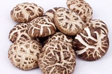 �������㹽������ haoshilao.com