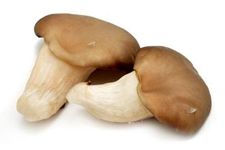 ������������ȫ haoshilao.com