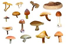 Ģ���� haoshilao.com