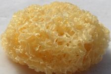 ѩ�������� haoshilao.com