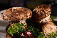 ���׵����� haoshilao.com