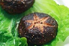 �������� haoshilao.com