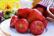 �����ĳԷ���ȫ haoshilao.com