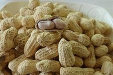 ΢��¯������ haoshilao.com