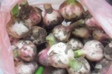��������Ʒ��� haoshilao.com