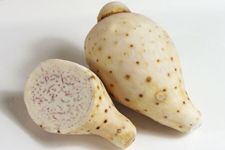 ��Բ���� haoshilao.com
