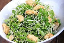 香椿芽的做法 haoshilao.com