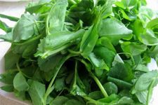 �㶹������� haoshilao.com