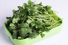 芫荽的做法大全 haoshilao.com