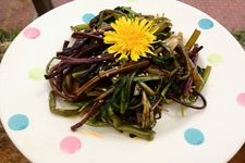 ���Ŷ��ĳԷ� haoshilao.com