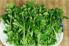 ��ޣ������ haoshilao.com
