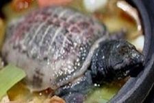 �������� haoshilao.com