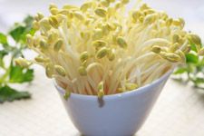 ���趹ѿ�˵����� haoshilao.com