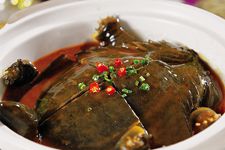 甲鱼的做法大全 haoshilao.com