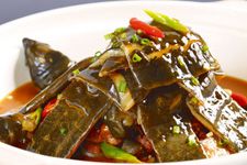 甲鱼的做法大全 haoshilao.com