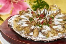 ������ô���ó� haoshilao.com
